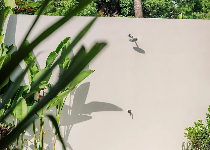 The Outside Design